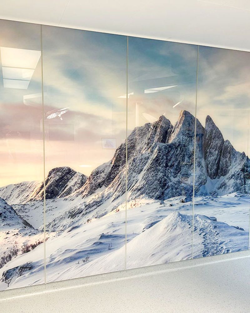 Integromed,-printed-Wall-(2) Integromed,-printed-Wall-(2)
